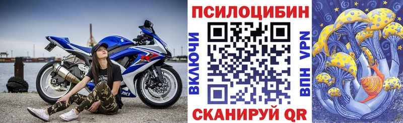 Купить  Руза  Псилоцибиновые грибы мицелий 